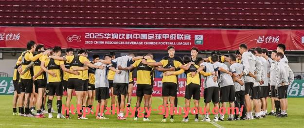 jiuyou九游娱乐-2019年英超球衣字体设计及视觉效果分析