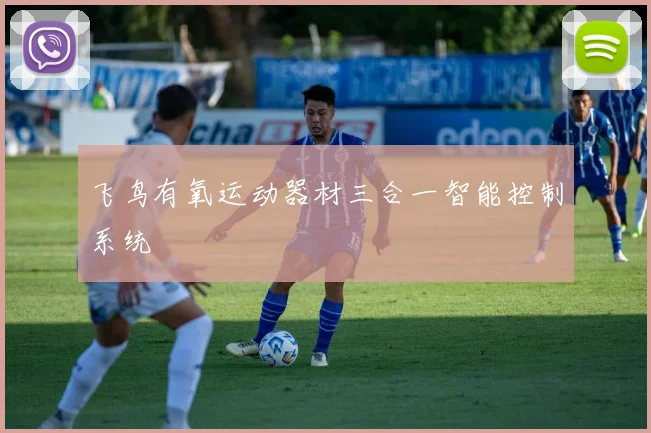 飞鸟有氧运动器材三合一智能控制系统