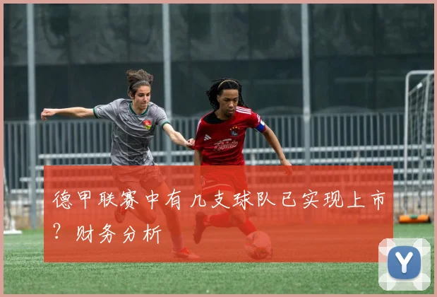 德甲联赛中有几支球队已实现上市？财务分析