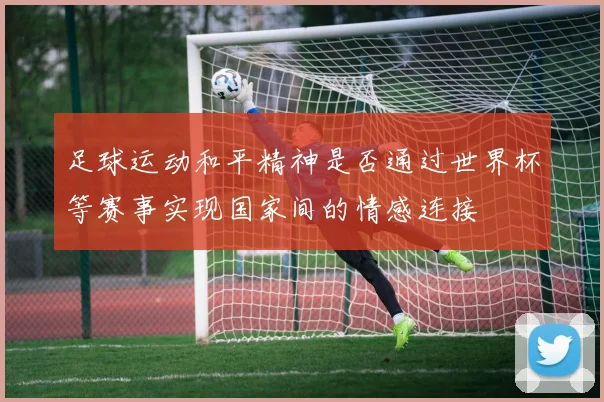 足球运动和平精神是否通过世界杯等赛事实现国家间的情感连接