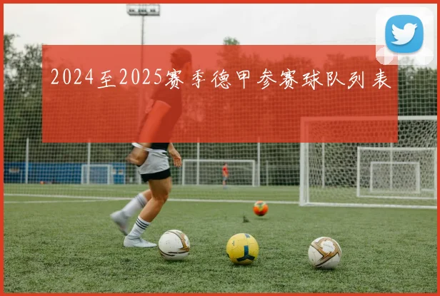 2024至2025赛季德甲参赛球队列表