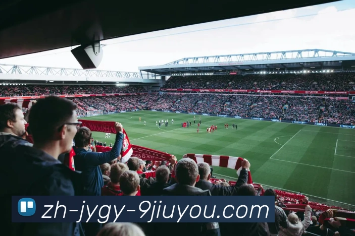 J9九游会登录入口平台生态图