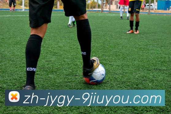 J9九游会登录入口全站App